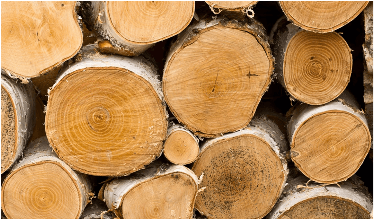 Timber Specialists